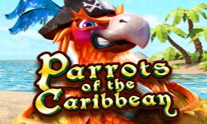 Parrots Of Caribbean