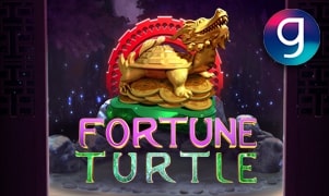 Fortune Turtle